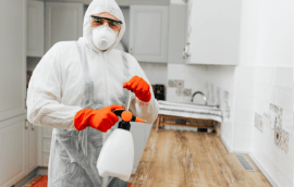 pest control hertfordshire
